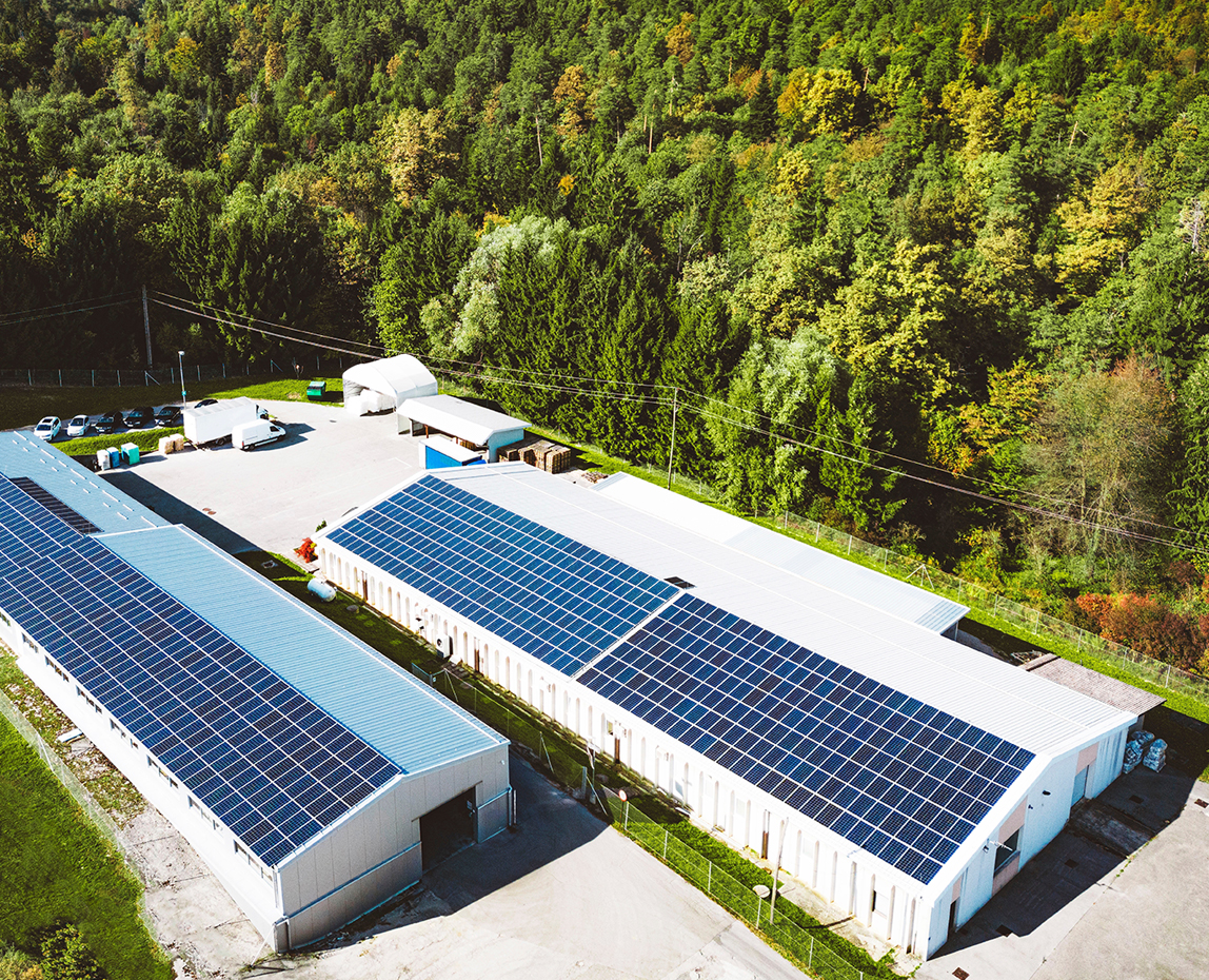 სააგენტოს „აწარმოე საქართველოში“ ახალი პროგრამა ბიზნეს უნივერსალი ECO 