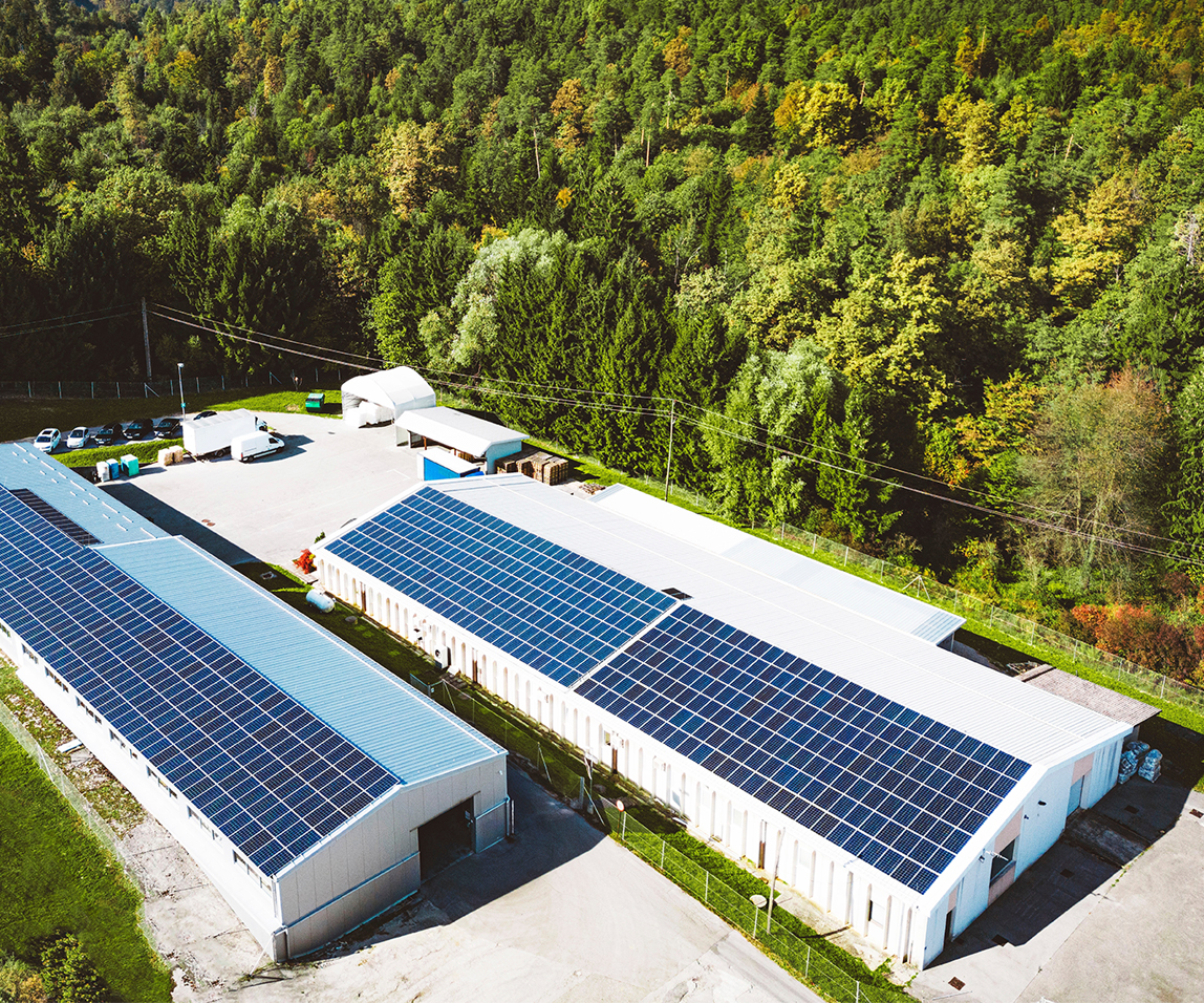 „აწარმოე საქართველოში“ ბიზნეს უნივერსალი ECO 