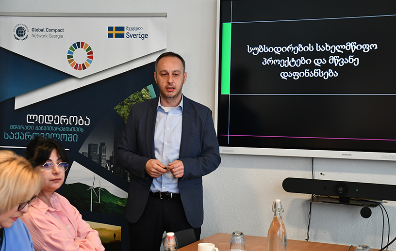 გაეროს გლობალური შეთანხმების საქართველოს ქსელის შეხვედრაზე ტერაბანკმა მცირე და საშუალო ბიზნესისთვის მწვანე დაფინანსების შესაძლებლობები წარადგინა 